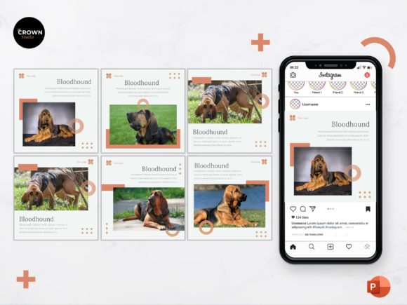 Download Instagram Feed Template -  Bloodhound - Instagram Collection