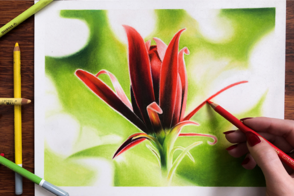 Download Drawing with Soft Pastels - Pastels Collection